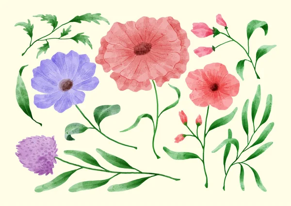 Ensemble Fleurs Peintes Aquarelle Pour Diverses Cartes Cartes Vœux — Image vectorielle