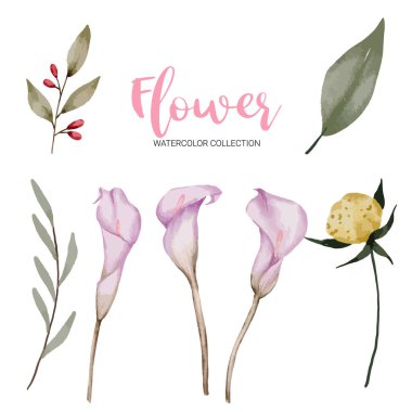 Ayrı parçalardan oluşan bir set ve beyaz zemin üzerinde sulu renk şeklinde güzel bir buket çiçek, düz vektör illüstrasyonunu bir araya getir