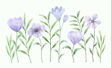 Çeşitli kartlara ve tebrik kartlarına eşlik etmesi için suluboya boyayla boyanmış bir çiçek seti. vektör illüstrasyon suluboya tasarımı