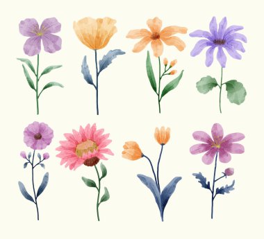 Çeşitli kartlar ve tebrik kartları için suluboya bir çiçek seti.