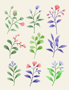 Çeşitli kartlar ve tebrik kartları için suluboya bir çiçek seti.