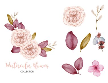 Ayrı parçalardan oluşan bir set ve beyaz zemin üzerinde sulu renk şeklinde güzel bir buket çiçek, düz vektör illüstrasyonunu bir araya getir