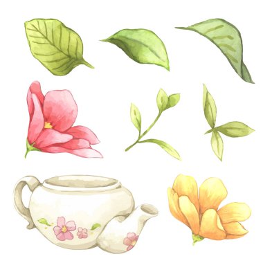 Büyük Set suluboya elementleri - yaprak, çiçekler, çaydanlık. vektör elementlerinin toplanması. Resimler beyaz arkaplanda izole edilmiş. Botanik.