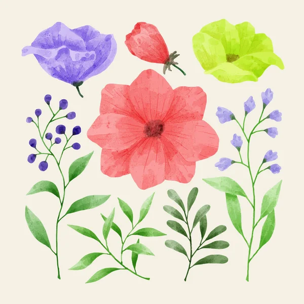 Conjunto Flores Pintadas Acuarela Para Varias Tarjetas Tarjetas Felicitación — Vector de stock