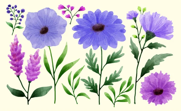 Ein Satz Blumen Gemalt Aquarell Für Verschiedene Karten Und Grußkarten — Stockvektor