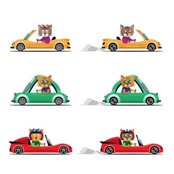 만화같은 운전하는 자동차 있습니다 운전사 동물용 자동차 고양이가 티셔츠 일러스트를 — 스톡 벡터