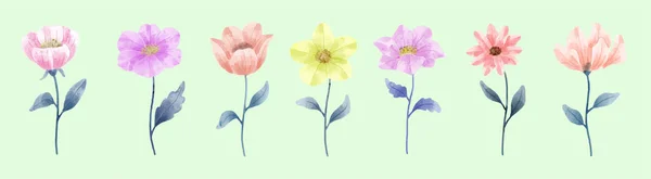 Conjunto Flores Pintadas Con Acuarelas Para Acompañar Varias Tarjetas Tarjetas — Vector de stock