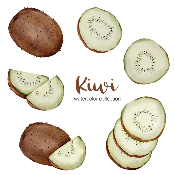 Kiwi Diseño Colección Acuarela Lleno Fruta Cortado Pedazos Set Dibujo — Archivo Imágenes Vectoriales