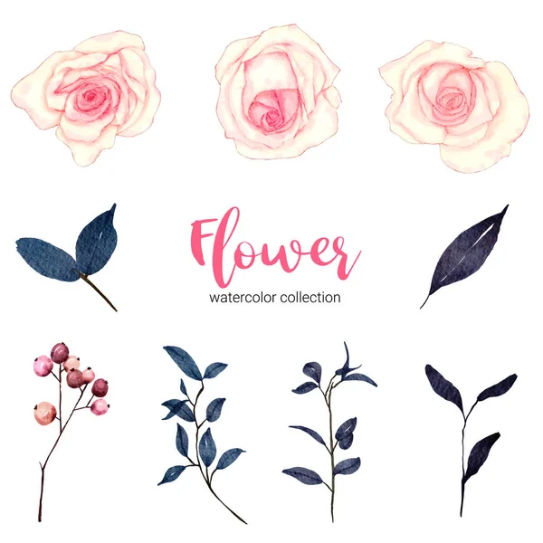 Colección Acuarela Ilustración Hermosa Flor — Vector de stock