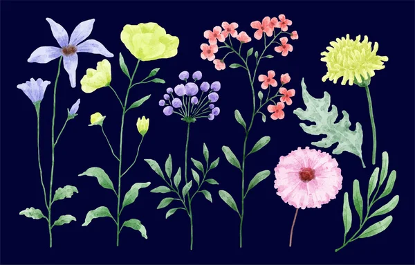 Egy Sor Virág Festett Akvarell Különböző Kártyák Üdvözlő Kártyák — Stock Vector