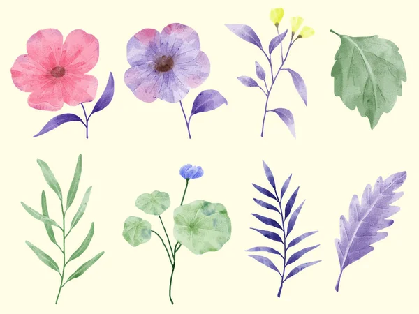 Ένα Σετ Από Λουλούδια Βαμμένα Ακουαρέλα Για Διάφορες Κάρτες Και — Διανυσματικό Αρχείο
