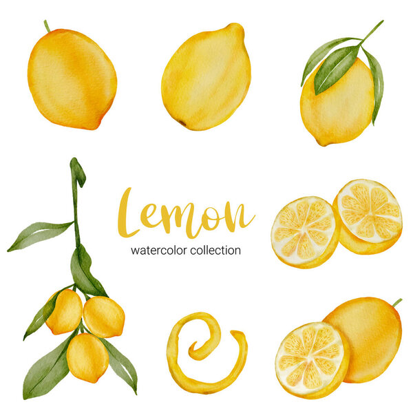 Tropical Lemon watercolor collection design with Fruit and Leaf with branch,  Drawing set  Flat Design Vector Illustration