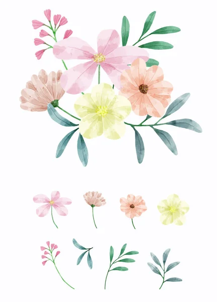 Conjunto Flores Pintadas Com Aquarelas Para Acompanhar Vários Cartões Cartões — Vetor de Stock