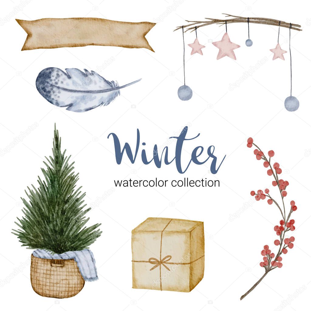 Winter watercolor collection with branches, leaves and flowers