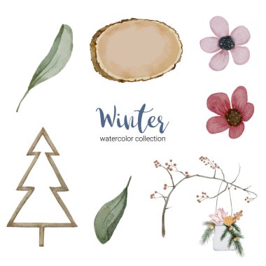 Dalları, yaprakları ve çiçekleri olan kış suluboya koleksiyonu