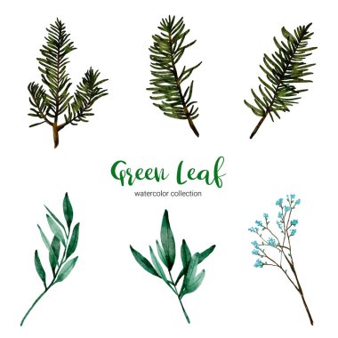 suluboya resim yeşil yaprak koleksiyonu