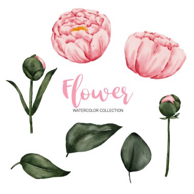 Ayrı parçalardan oluşan bir set ve beyaz zemin üzerinde sulu renk şeklinde güzel bir buket çiçek, düz vektör illüstrasyonunu bir araya getir