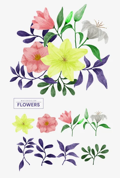 Ein Satz Blumen Gemalt Aquarell Für Verschiedene Karten Und Grußkarten — Stockvektor