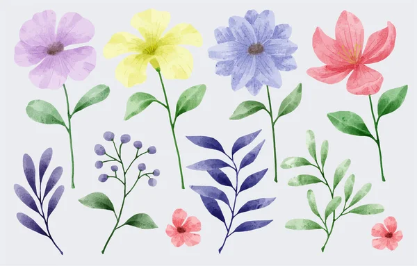 Conjunto Flores Pintadas Acuarela Para Varias Tarjetas Tarjetas Felicitación — Vector de stock