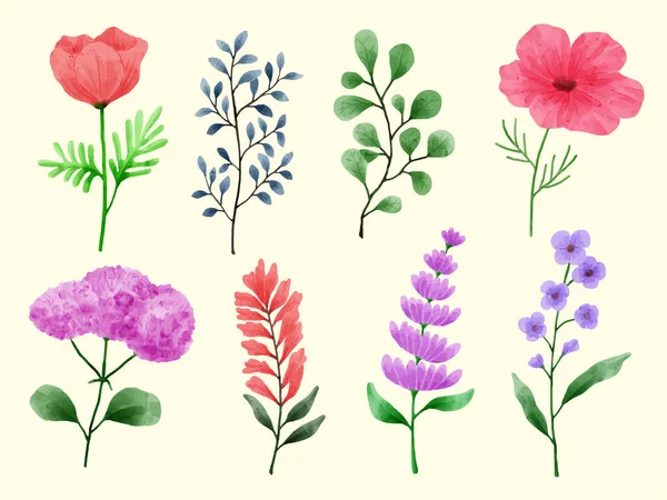 Set Flowers Painted Watercolor Various Cards Greeting Cards — Stock Vector