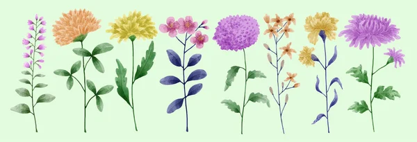 Conjunto Flores Pintadas Aquarela Para Vários Cartões Cartões Saudação —  Vetores de Stock