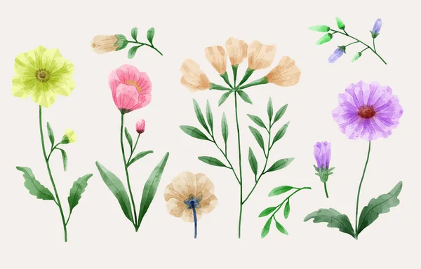 Ein Satz Blumen Mit Aquarellen Bemalt Verschiedene Karten Und Grußkarten — Stockvektor