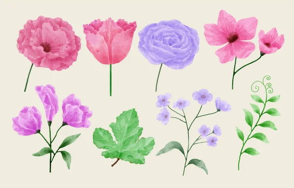 Conjunto Flores Pintadas Acuarela Para Varias Tarjetas Tarjetas Felicitación — Vector de stock