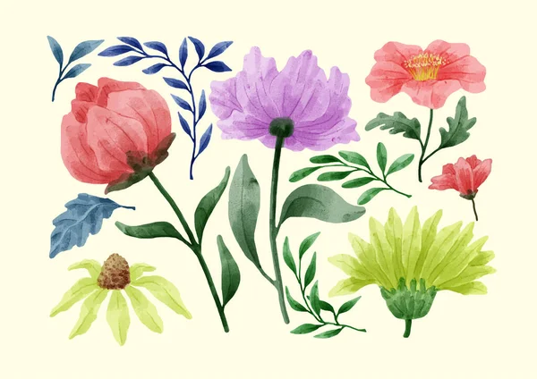 Ein Satz Blumen Mit Aquarellen Bemalt Verschiedene Karten Und Grußkarten — Stockvektor