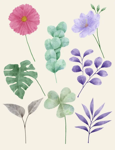 Ένα Σετ Από Λουλούδια Βαμμένα Ακουαρέλα Για Διάφορες Κάρτες Και — Διανυσματικό Αρχείο