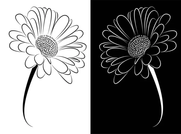 Abstraktní Malba Květu Okvětními Lístky Digitální Umění Vektorová Ilustrace Kresba — Stockový vektor