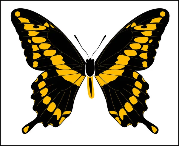 Giant Swallowtail Butterfly Векторная Иллюстрация — стоковый вектор