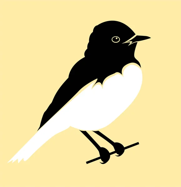 Svart Och Vitt Variabel Wheatear Fågel Färg Bakgrund Vektor Illustration — Stock vektor