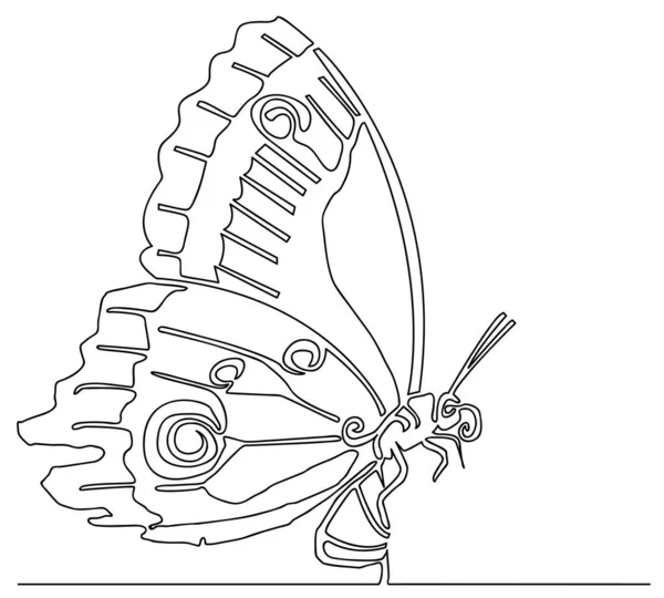 Disegno Linea Singola Una Bella Farfalla — Vettoriale Stock