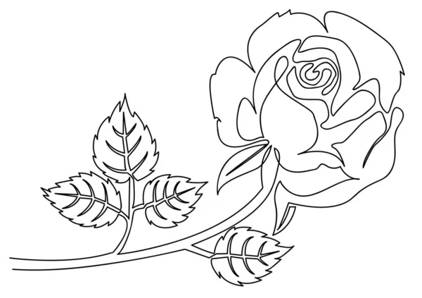 バラの花の一本の線画 ベクトルイラスト — ストックベクタ