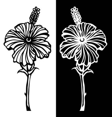 Siyah ve beyaz arka planda yaprakları olan amber çiçeği dijital sanatı 