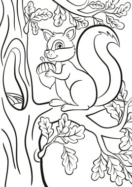 Little cute squirrel sits on the banch of a tree.