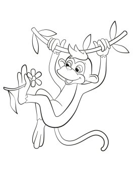 Maymun liana asılı.