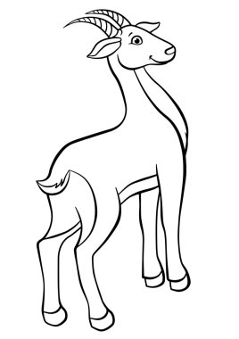 Küçük şirin antilop standları ve gülümsüyor.