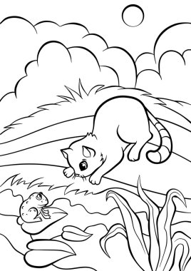 Küçük şirin kedi bir kıyıda oturur ve kurbağa görünüyor.