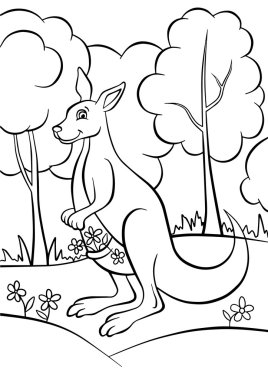 Küçük şirin kanguru çiçek cebinde tutuyor..