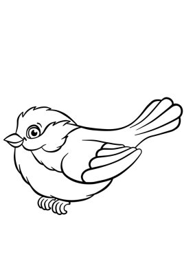 Küçük sevimli titmouse oturur ve gülümsüyor.