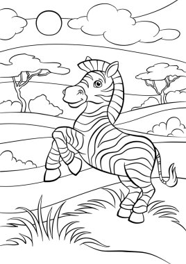 Küçük sevimli zebra standları ve gülümsüyor. 
