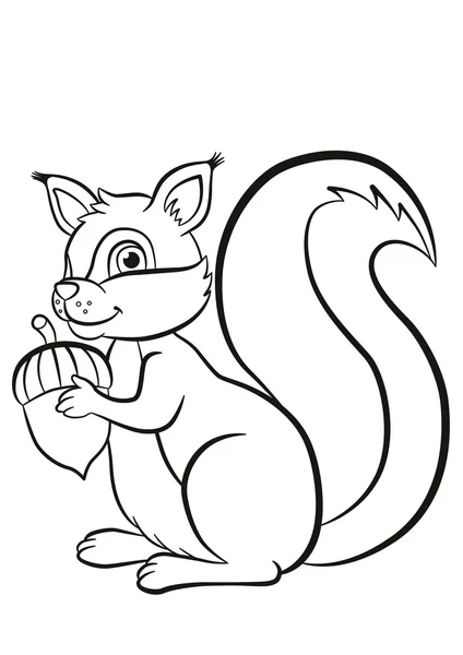 Little cute squirrel stands and holds an acorn in the hands. — Stock Vector