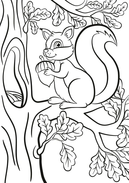 Little cute squirrel sits on the banch of a tree.