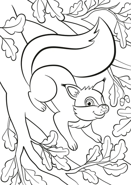 Little cute squirrel stands on the bunch of the oak tree and smiles.