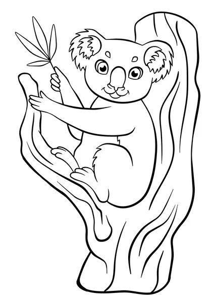 Pequeño koala lindo se sienta en el árbol y sostiene eucalipto . — Archivo Imágenes Vectoriales