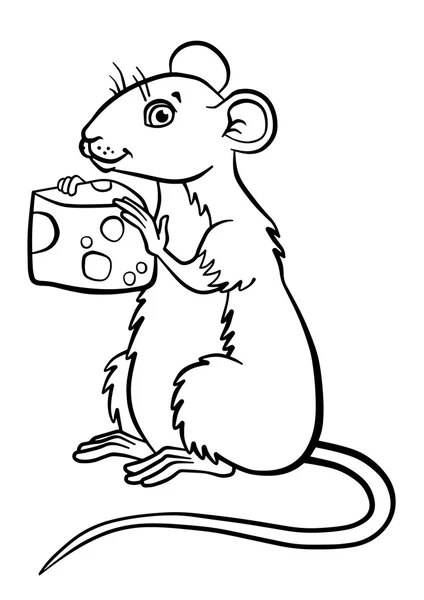 Kleine schattige muis houdt kaas in de handen. — Stockvector