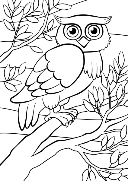 Chouette hibou assis sur l'arbre . — Image vectorielle