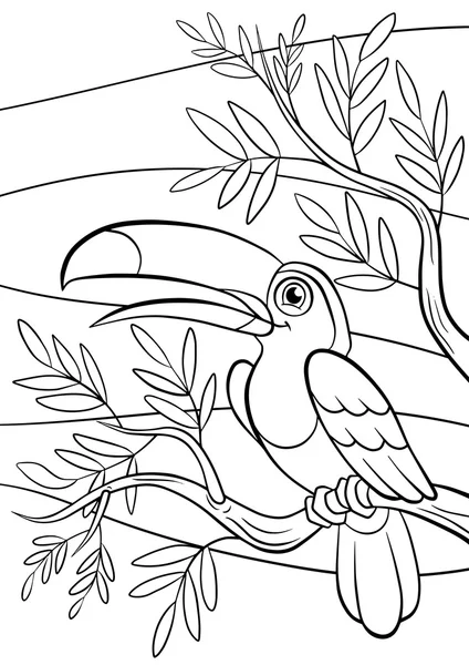 Kleine schattige Toucan zit op de boom banch en glimlacht. — Stockvector