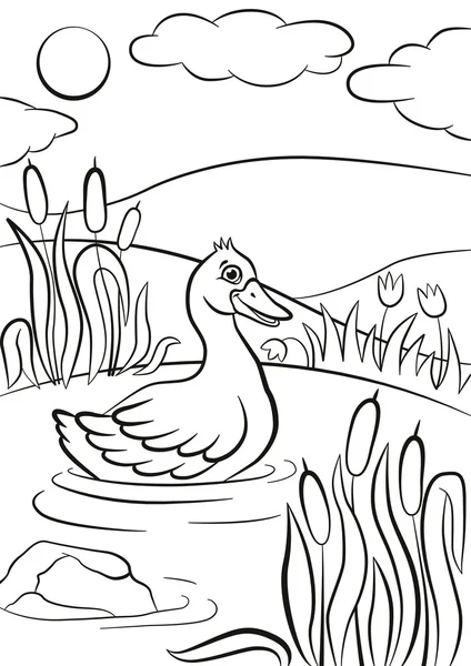 Küçük sevimli ördek gölet üzerinde yüzüyor. O gülümsüyor. — Stok Vektör